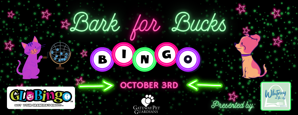 Bark for Bucks Glo Bingo 2026